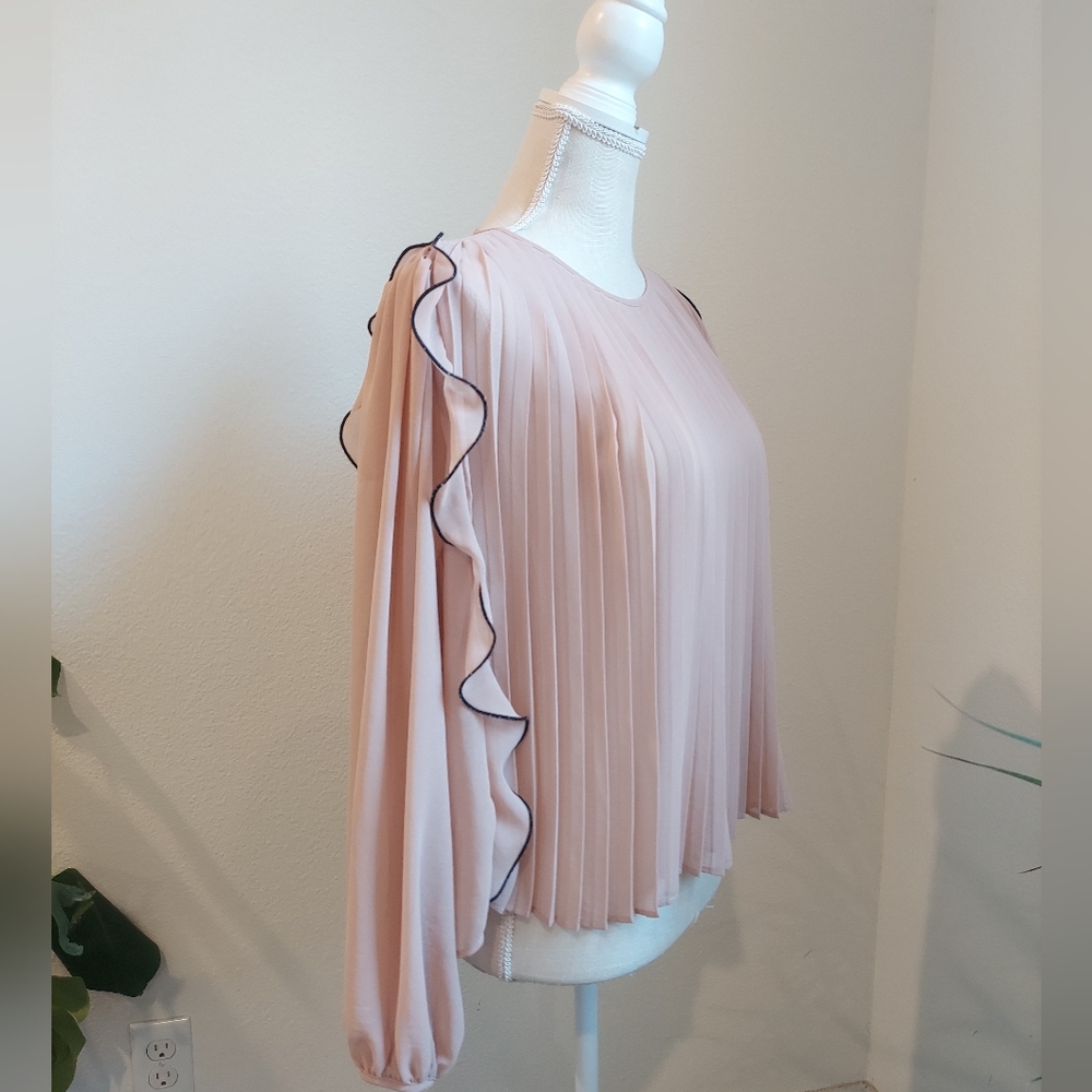 Zara Ruffled Pink Blouse - Picture 9 of 10